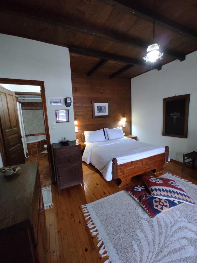 Xenonas Brizi Hotel Elati  Luaran gambar