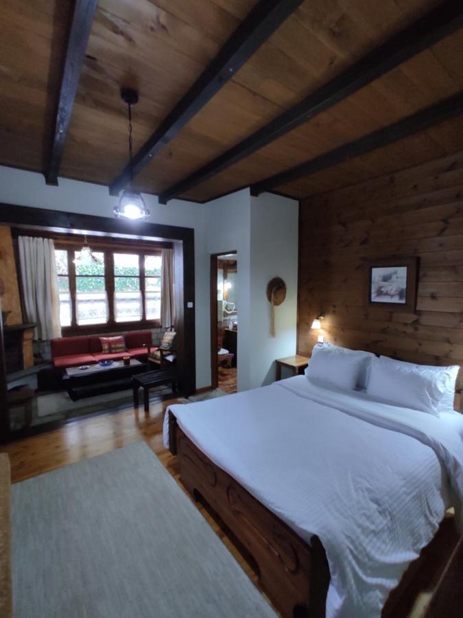Xenonas Brizi Hotel Elati  Luaran gambar