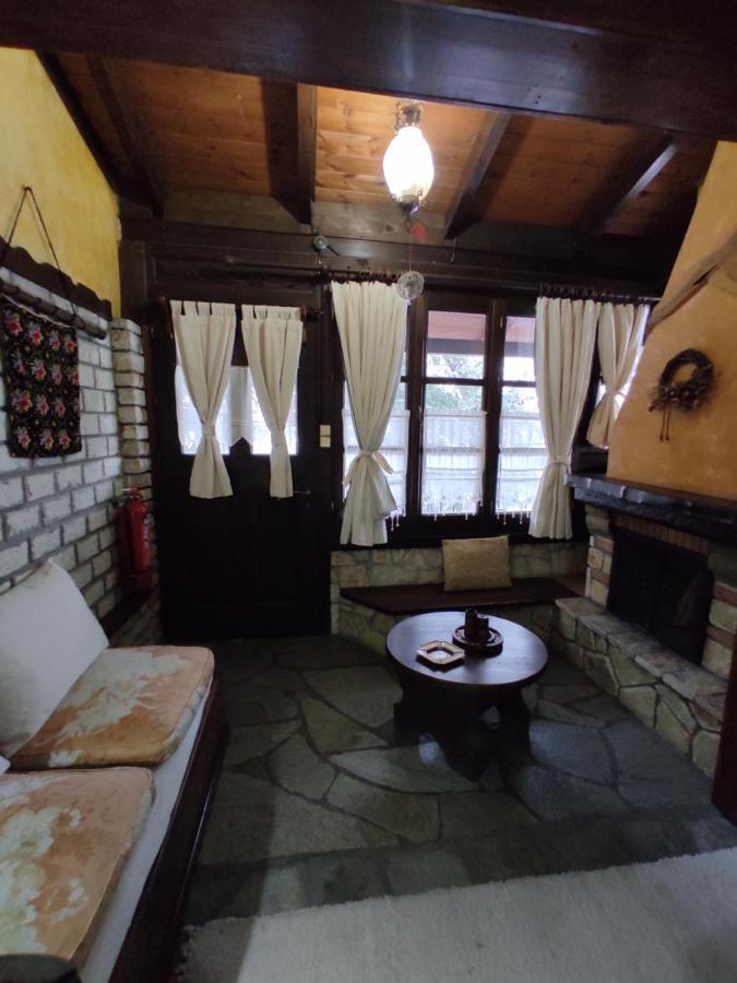 Xenonas Brizi Hotel Elati  Luaran gambar