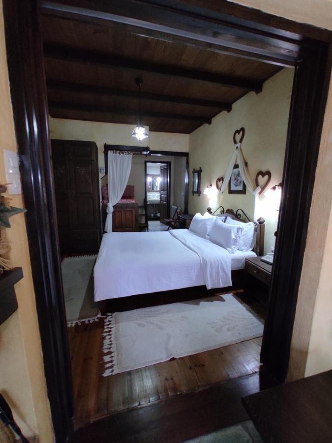 Xenonas Brizi Hotel Elati  Luaran gambar