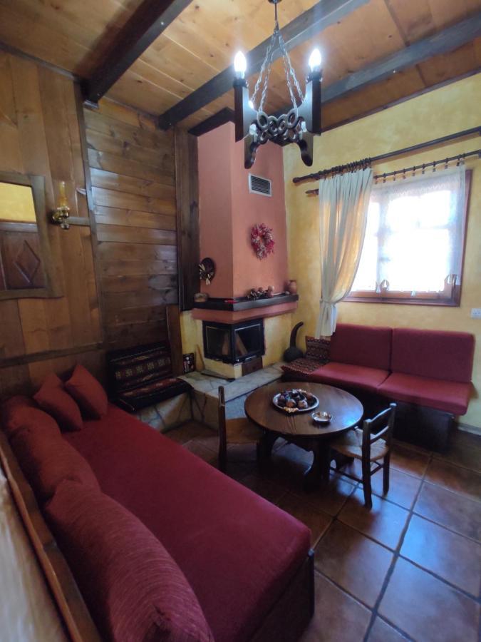 Xenonas Brizi Hotel Elati  Luaran gambar