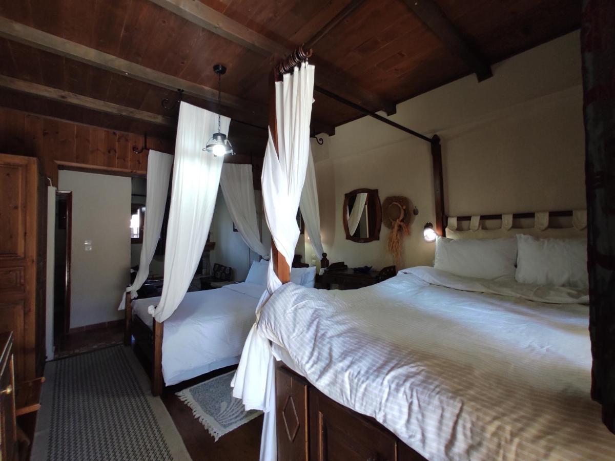 Xenonas Brizi Hotel Elati  Luaran gambar