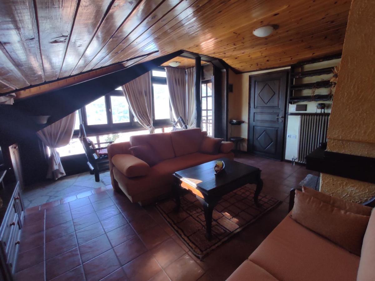 Xenonas Brizi Hotel Elati  Luaran gambar