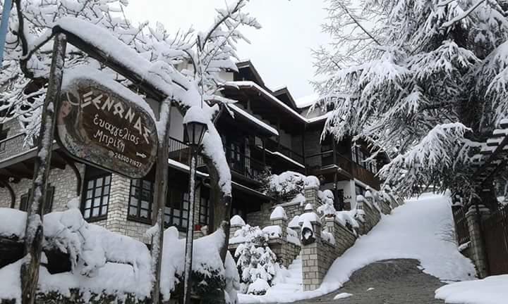 Xenonas Brizi Hotel Elati  Luaran gambar
