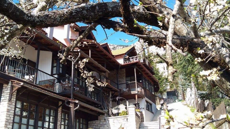 Xenonas Brizi Hotel Elati  Luaran gambar